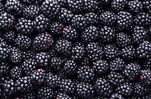 Blackberry (Organic) thumbnail image