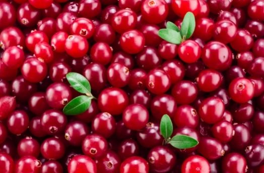 Cranberry thumbnail image