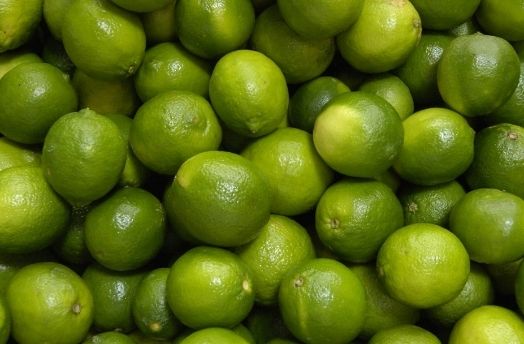 Lime thumbnail image