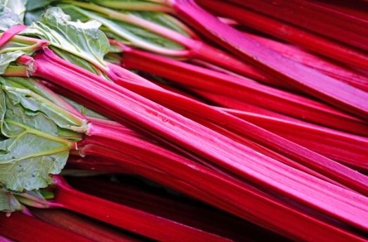 Rhubarb thumbnail image