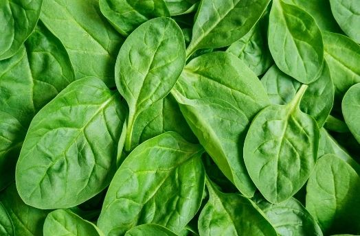 Spinach thumbnail image