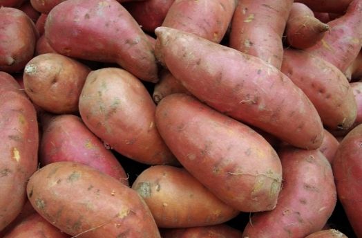 Sweet Potato thumbnail image